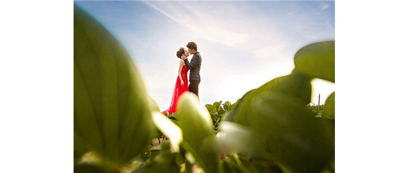 <b>�B�T�鼆�zӰ�鷿�b����ʲô�b��ä�c(di��n)</b>