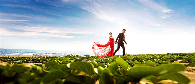 �B�T�鼆��