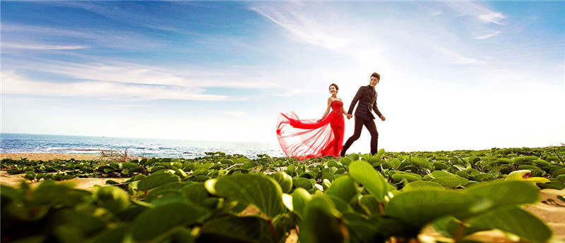 �B�T�鼆��